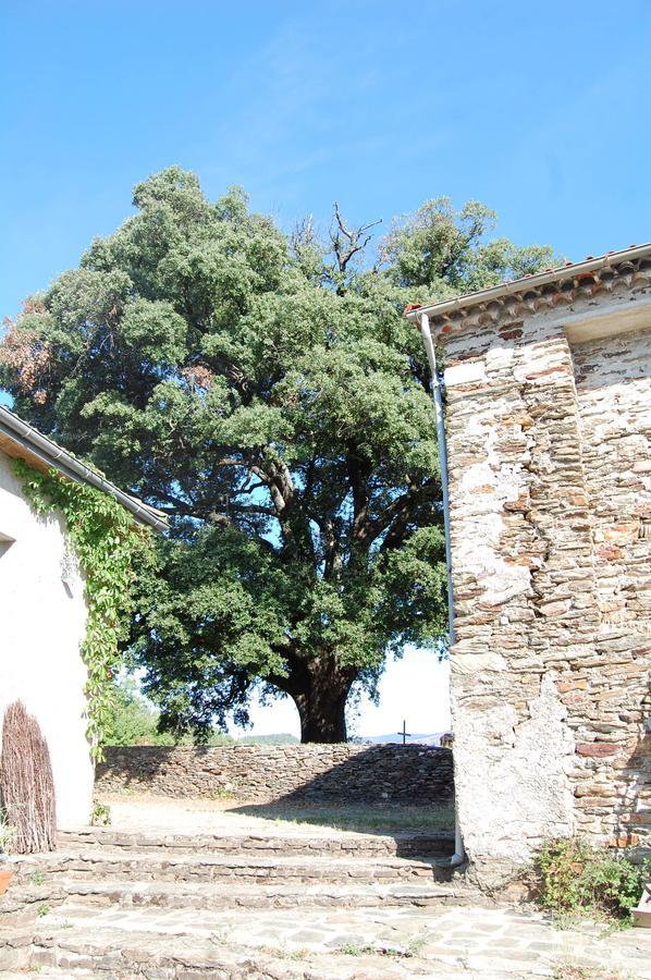 La Vallee De Gaia Bed & Breakfast Saint-Hilaire-de-Lavit Bagian luar foto
